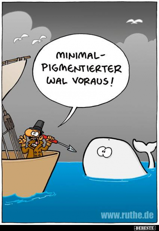 Minimalpigmentierter Wal voraus!.. - Lustige Bilder | DEBESTE.de