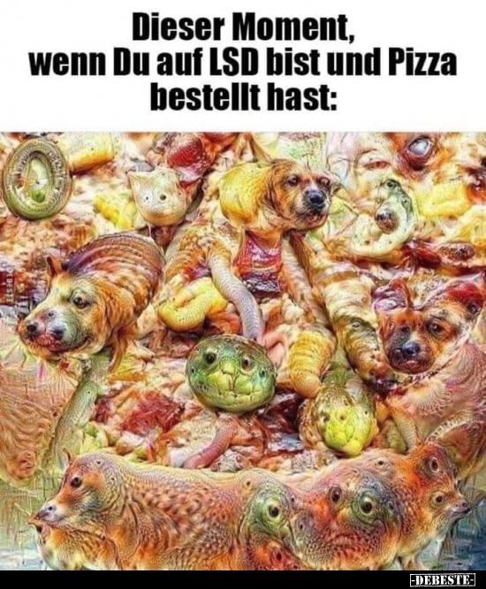 Dieser Moment, wenn Du auf LSD bist und Pizza bestellt hast: - Lustige Bilder | DEBESTE.de