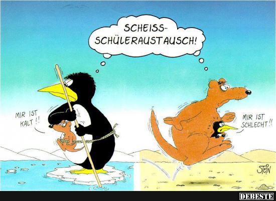 .... Schüleraustausch!