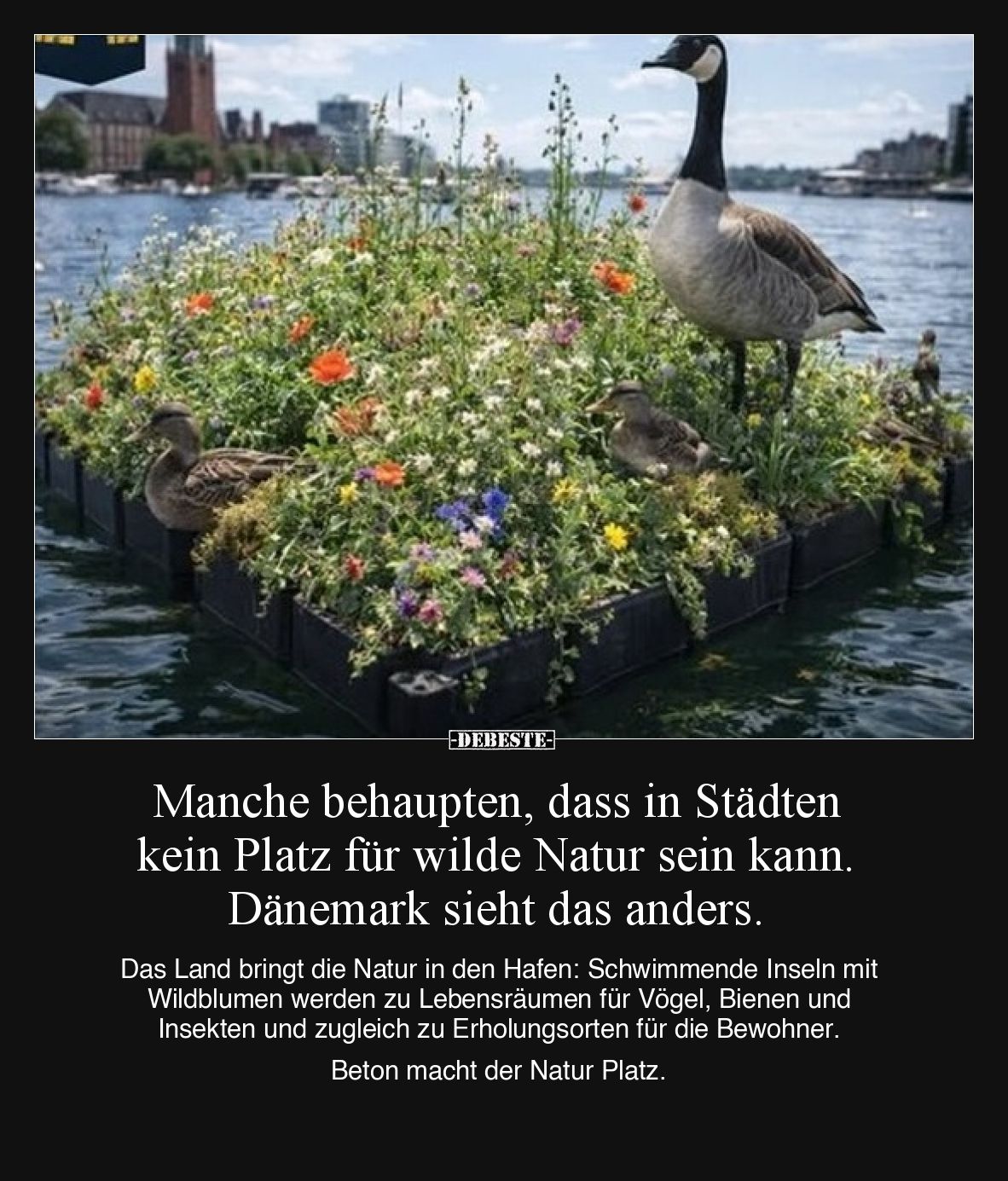 Manche behaupten, dass in Städten kein Platz für wilde.. - Lustige Bilder | DEBESTE.de