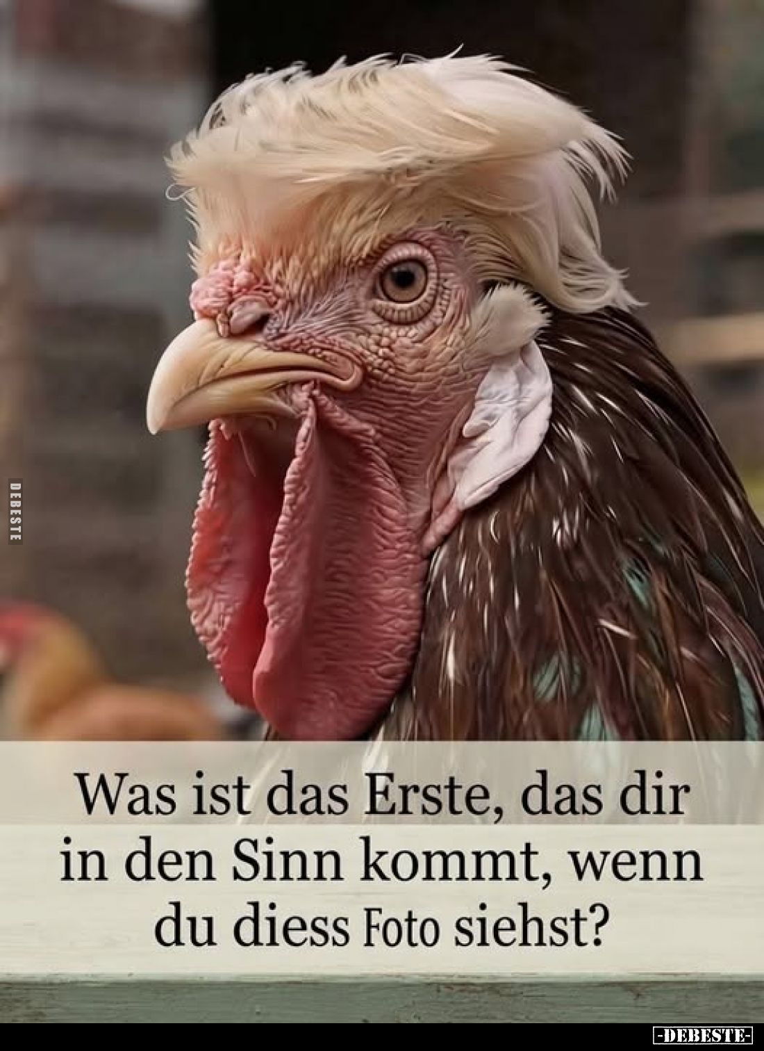 Was ist das Erste, das dir in den Sinn kommt, wenn du dieses Foto siehst?