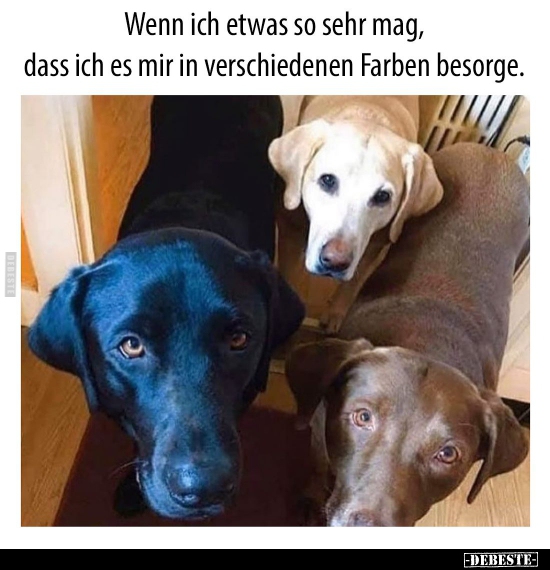 Wenn ich etwas so sehr mag, dass ich es mir in.. - Lustige Bilder | DEBESTE.de