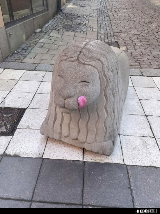  - Lustige Bilder | DEBESTE.de