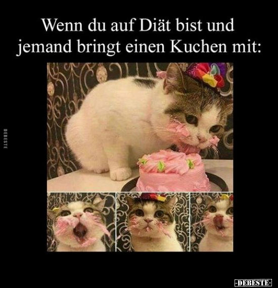 Wenn du auf Diät bist und jemand bringt einen Kuchen mit.. - Lustige Bilder | DEBESTE.de