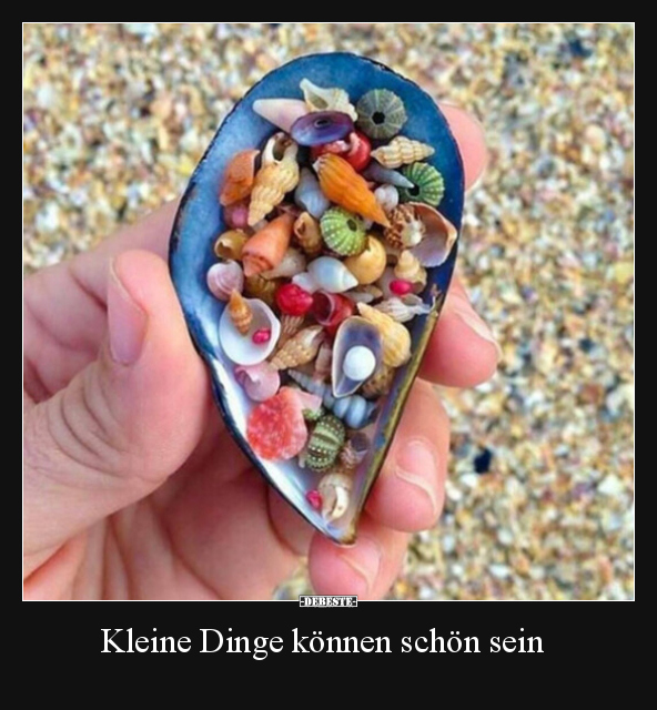 Kleine Dinge können schön sein.. - Lustige Bilder | DEBESTE.de