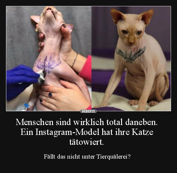 Menschen sind wirklich total daneben. Ein Instagram-Model.. - Lustige Bilder | DEBESTE.de