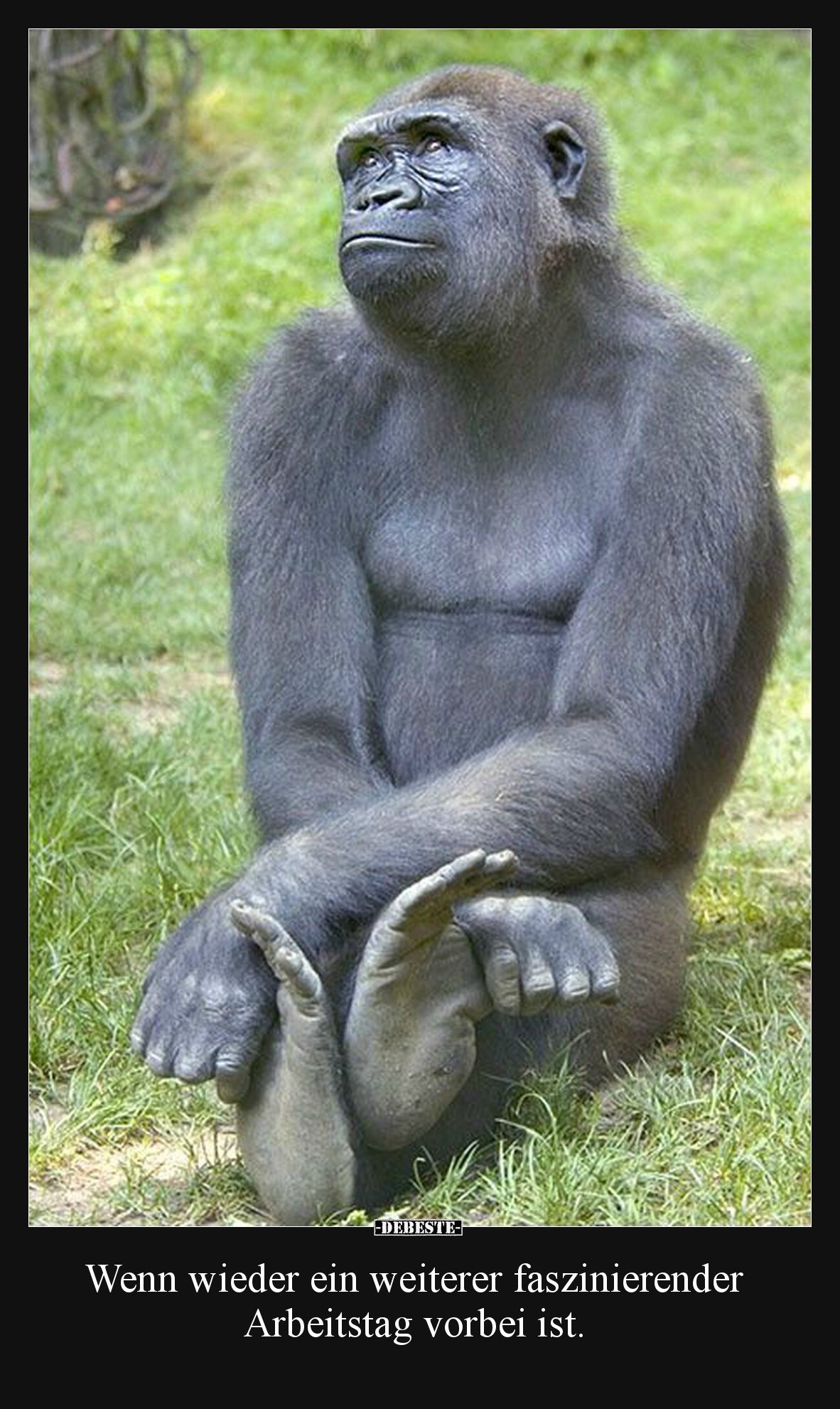 Wenn wieder ein weiterer faszinierender Arbeitstag vorbei ist.