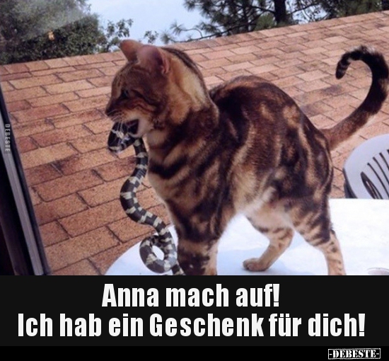 Anna mach auf! Ich hab ein Geschenk für dich!.. - Lustige Bilder | DEBESTE.de