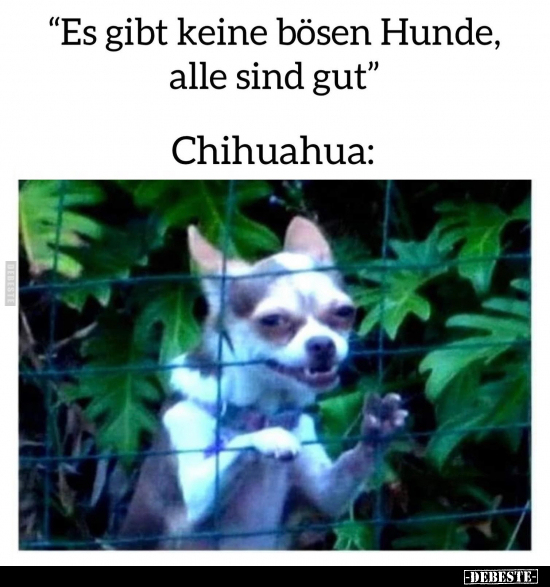 "Es gibt keine bösen Hunde, alle sind gut".. - Lustige Bilder | DEBESTE.de