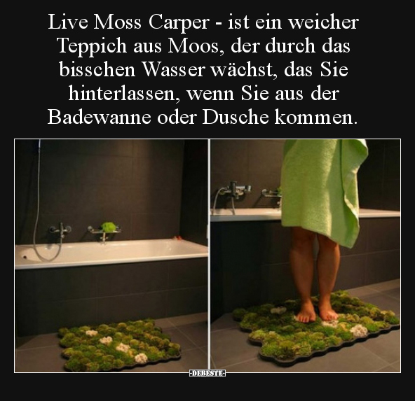 Live Moss Carper - ist ein weicher Teppich aus Moos, der.. - Lustige Bilder | DEBESTE.de
