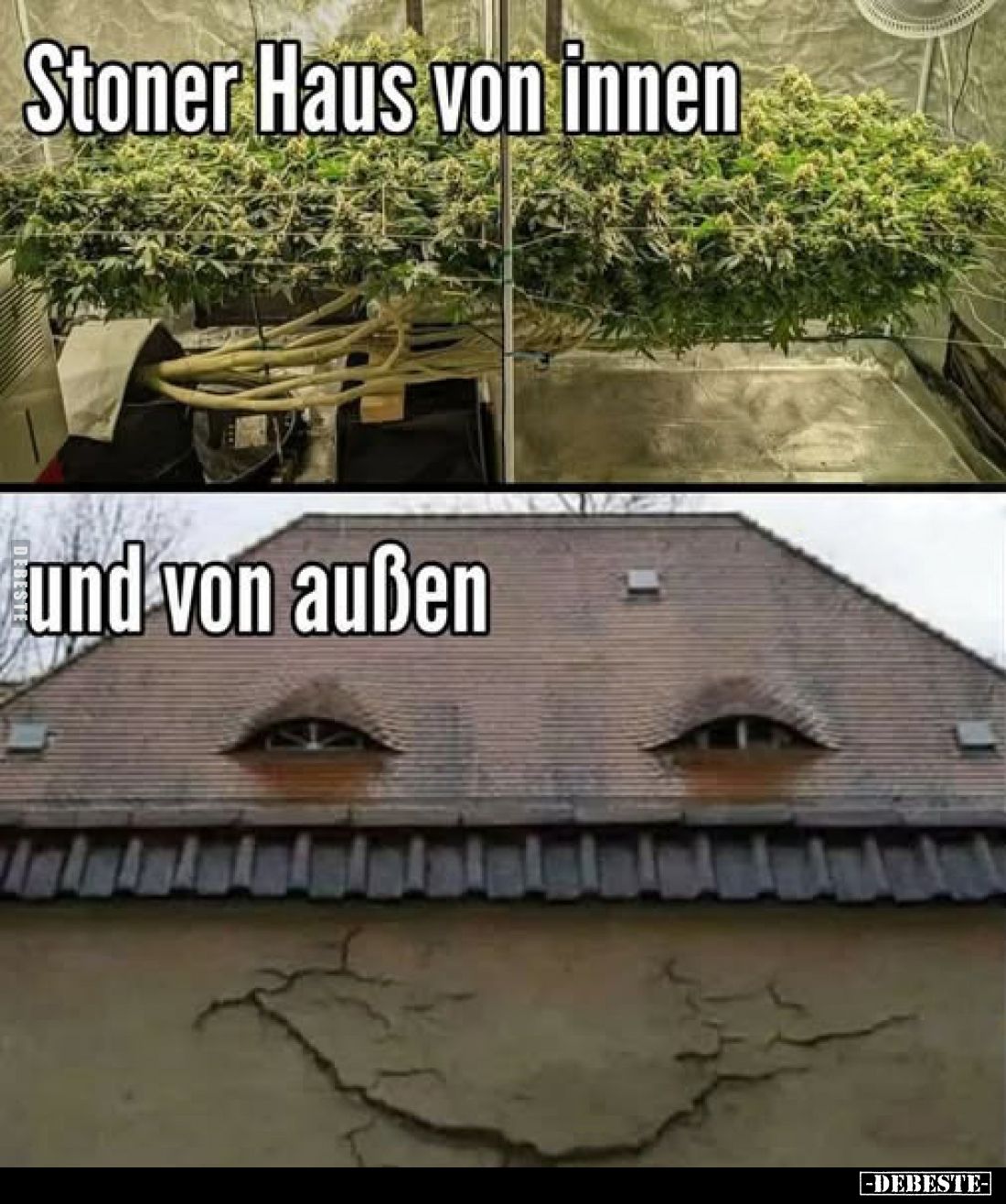 Stoner Haus von innen und von außen