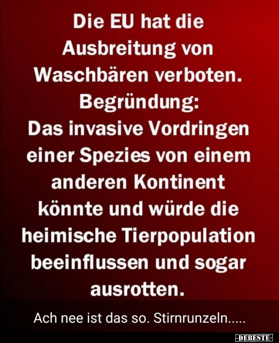 Die EU hat die Ausbreitung von Waschbären verboten.. - Lustige Bilder | DEBESTE.de
