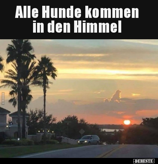 Alle Hunde kommen in den Himmel.. - Lustige Bilder | DEBESTE.de