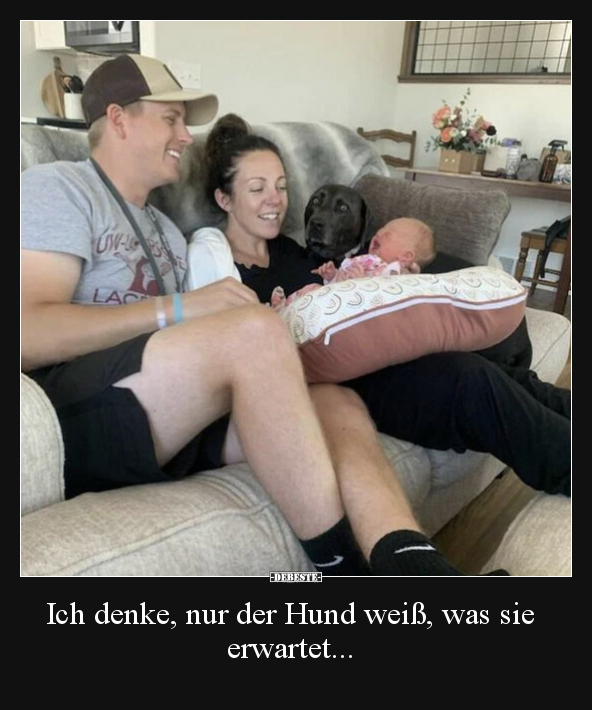 Ich denke, nur der Hund weiß, was sie erwartet... - Lustige Bilder | DEBESTE.de