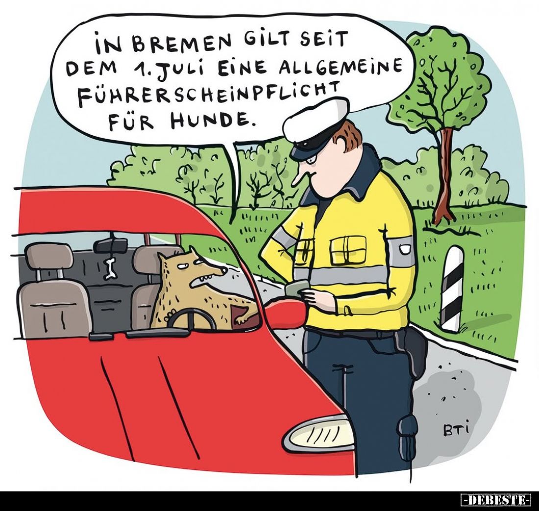 In Bremen gilt seit dem 1. Juli eine allgemeine Führerscheinpflicht für Hunde.
