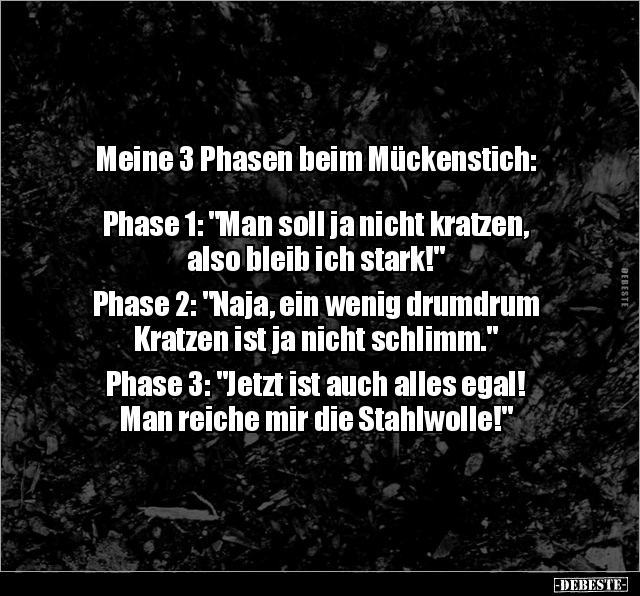 Meine 3 Phasen beim Mückenstich.. - Lustige Bilder | DEBESTE.de
