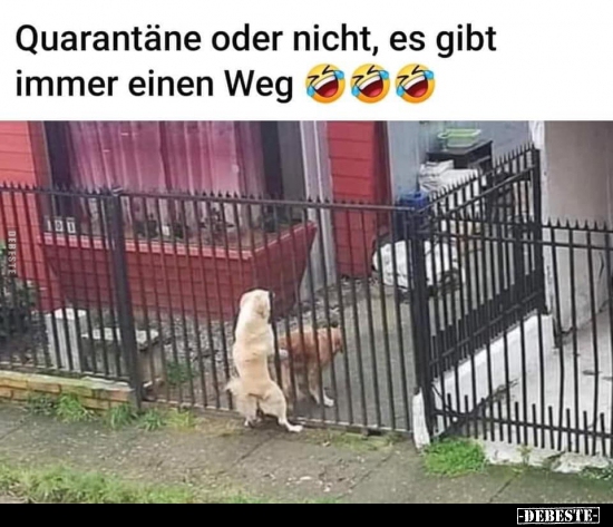 Quarantäne oder nicht, es gibt immer einen Weg..