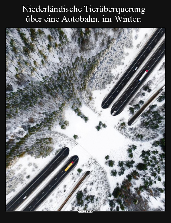 Niederländische Tierüberquerung über eine Autobahn, im..