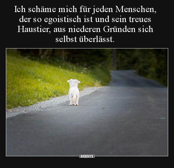 Ich schäme mich für jeden Menschen, der so egoistisch ist.. - Lustige Bilder | DEBESTE.de