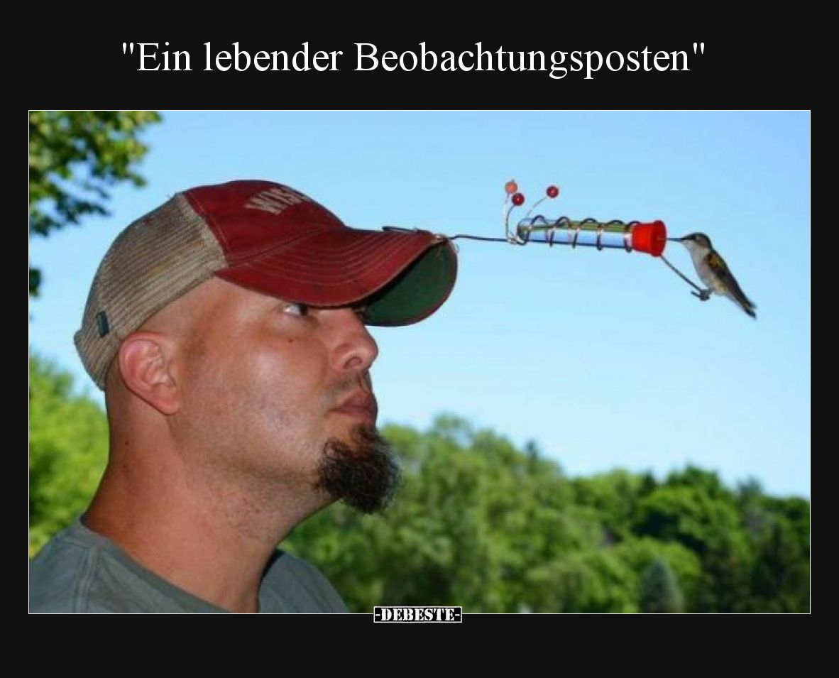Ein lebender Beobachtungsposten