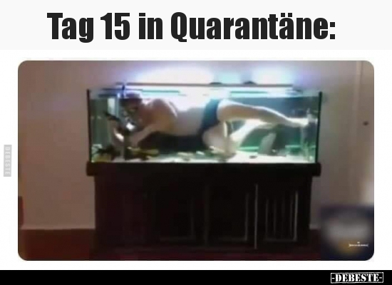 Tag 15 in Quarantäne.. - Lustige Bilder | DEBESTE.de