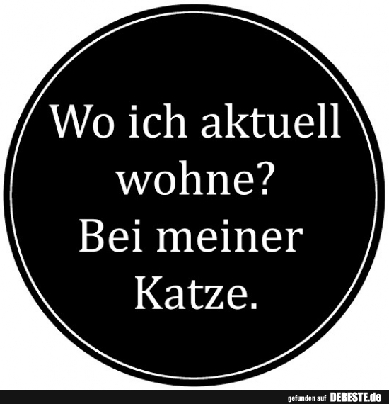 Wo ich aktuell wohne? Bei meiner Katze.