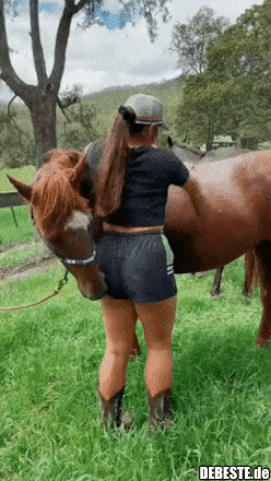 Darum Pferde... - Lustige Bilder | DEBESTE.de