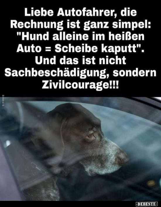 Liebe Autofahrer, die Rechnung ist ganz simpel: "Hund.." - Lustige Bilder | DEBESTE.de