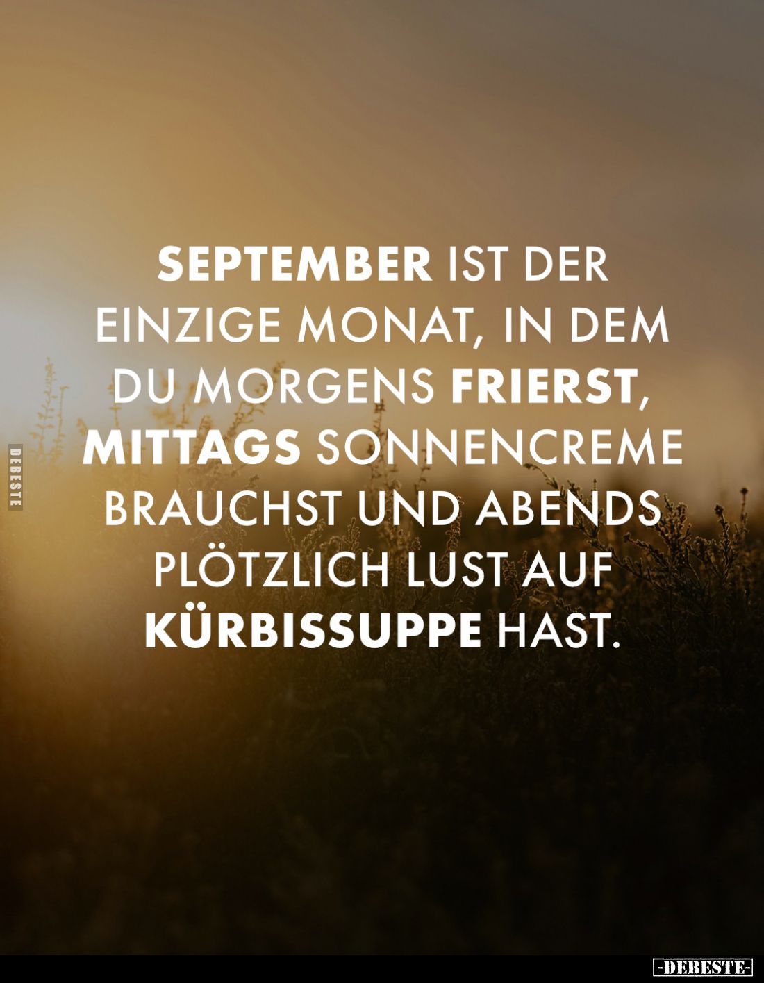 September ist der einzige Monat, in dem du morgens frierst, mittags Sonnencreme brauchst und abends plötzlich Lust auf Kürbis...