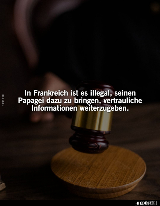 In Frankreich ist es illegal.. - Lustige Bilder | DEBESTE.de