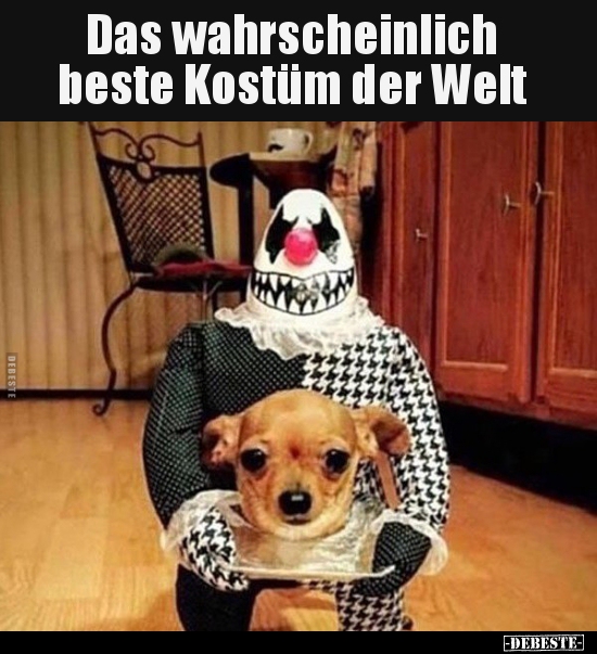 Das wahrscheinlich beste Kostüm der Welt.. - Lustige Bilder | DEBESTE.de