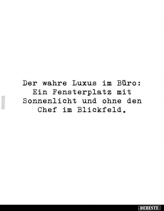 Der wahre Luxus im Büro: Ein Fensterplatz mit Sonnenlicht.. - Lustige Bilder | DEBESTE.de