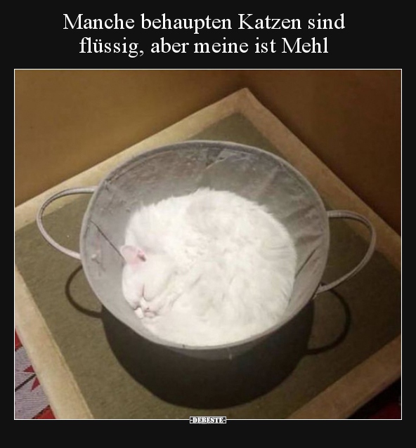 Manche behaupten Katzen sind flüssig, aber meine ist.. - Lustige Bilder | DEBESTE.de