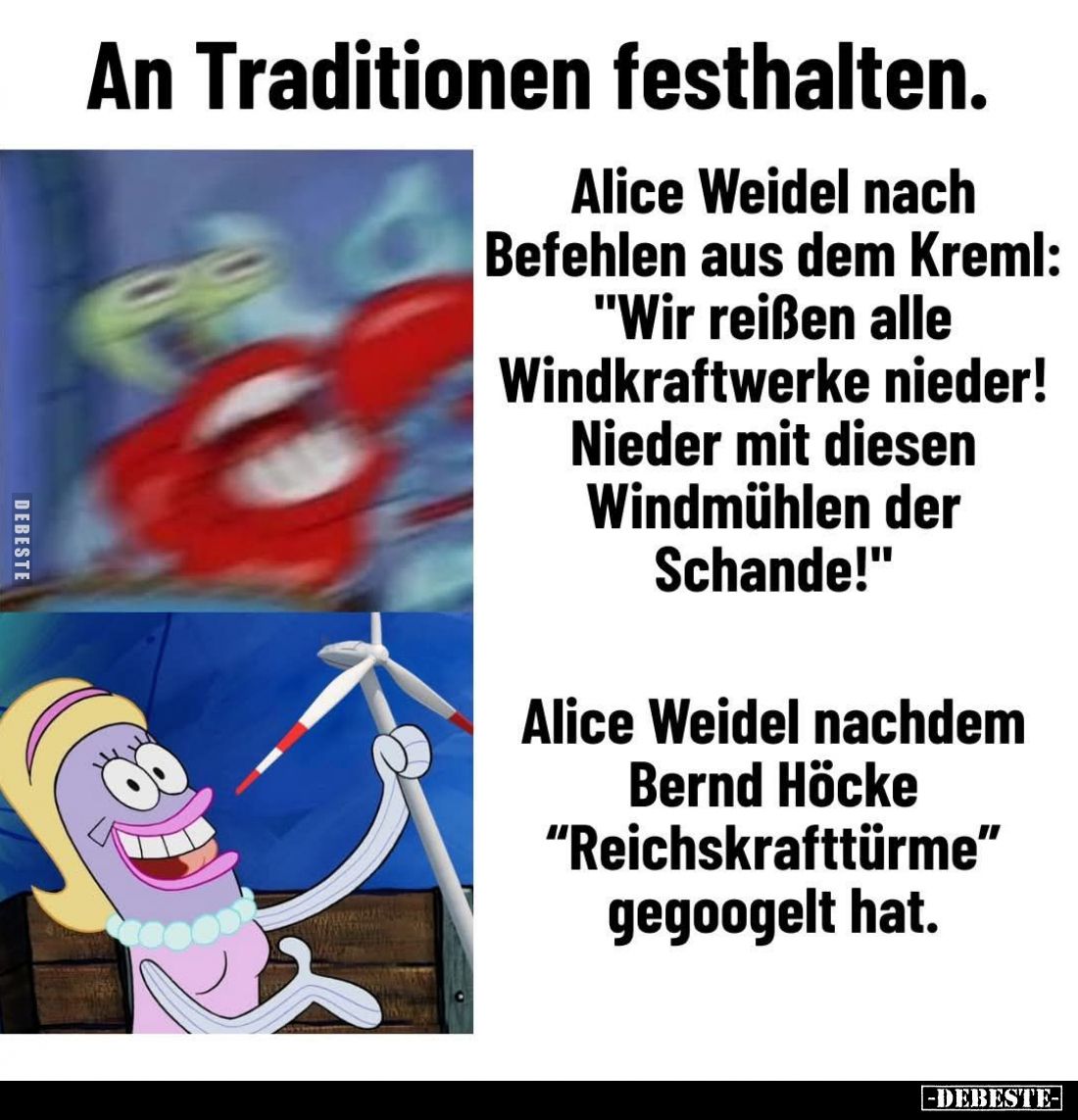 An Traditionen festhalten. -
Alice Weidel nach Befehlen aus dem Kreml: "Wir reißen alle Windkraftwerke nieder! Nieder m...