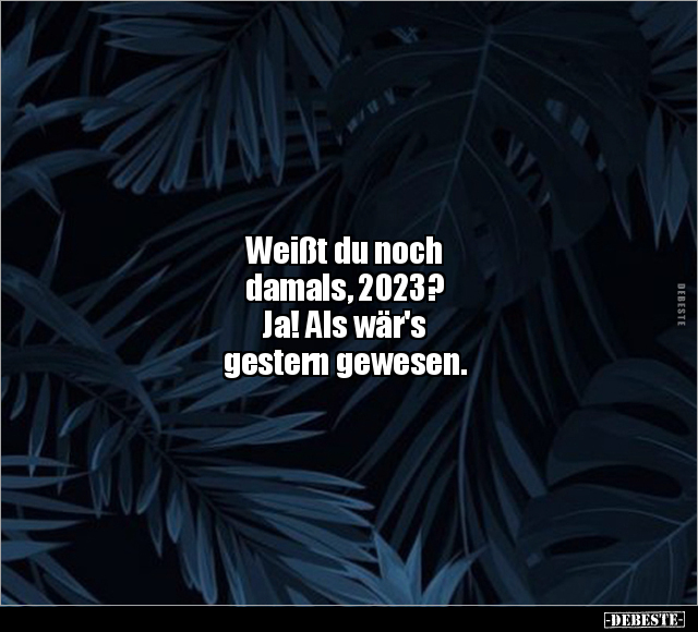Weißt du noch damals, 2023?.. - Lustige Bilder | DEBESTE.de