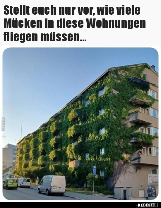 Stellt euch nur vor, wie viele Mücken in diese Wohnungen.. - Lustige Bilder | DEBESTE.de