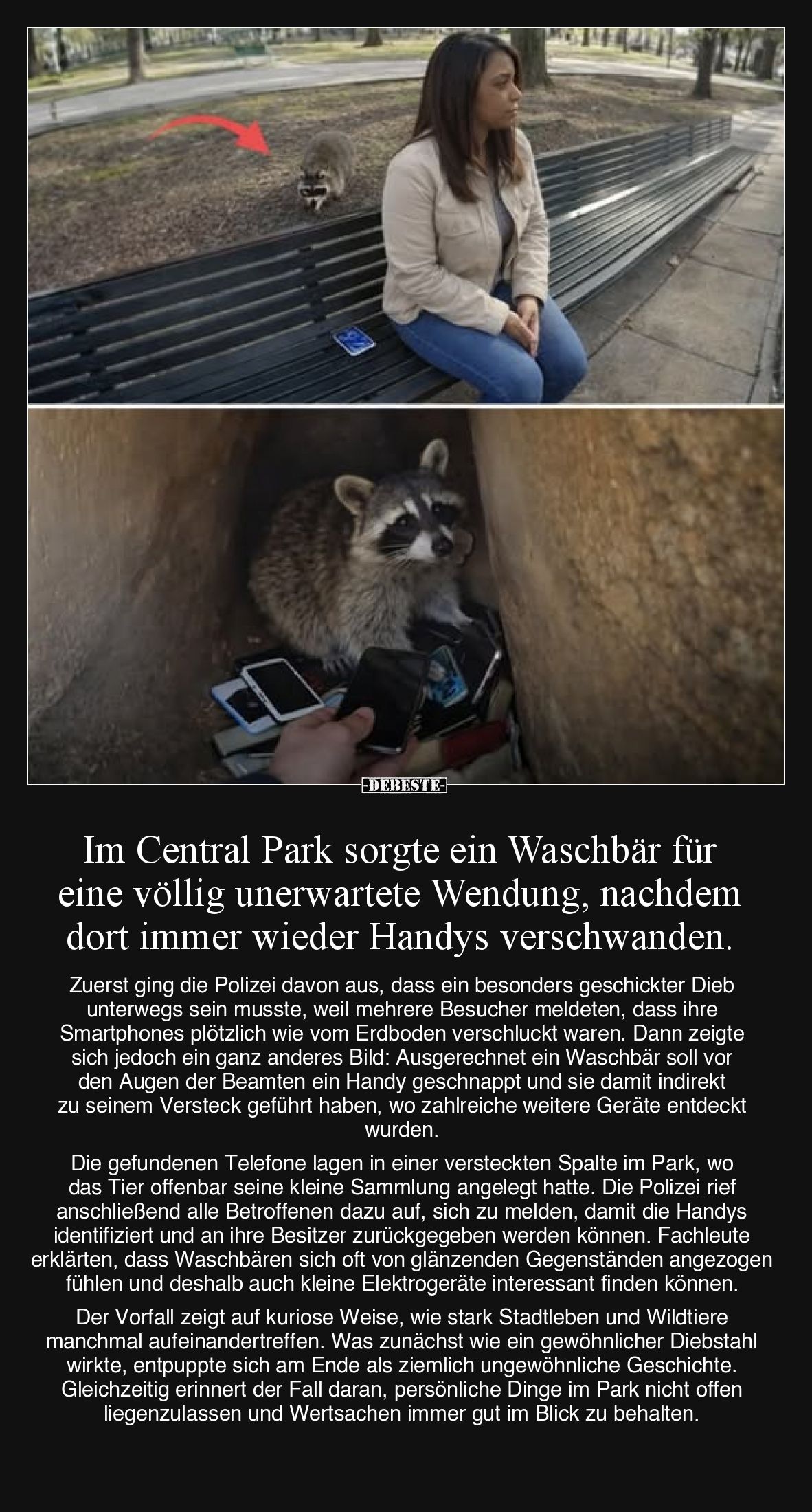 Im Central Park sorgte ein Waschbär für eine völlig.. - Lustige Bilder | DEBESTE.de