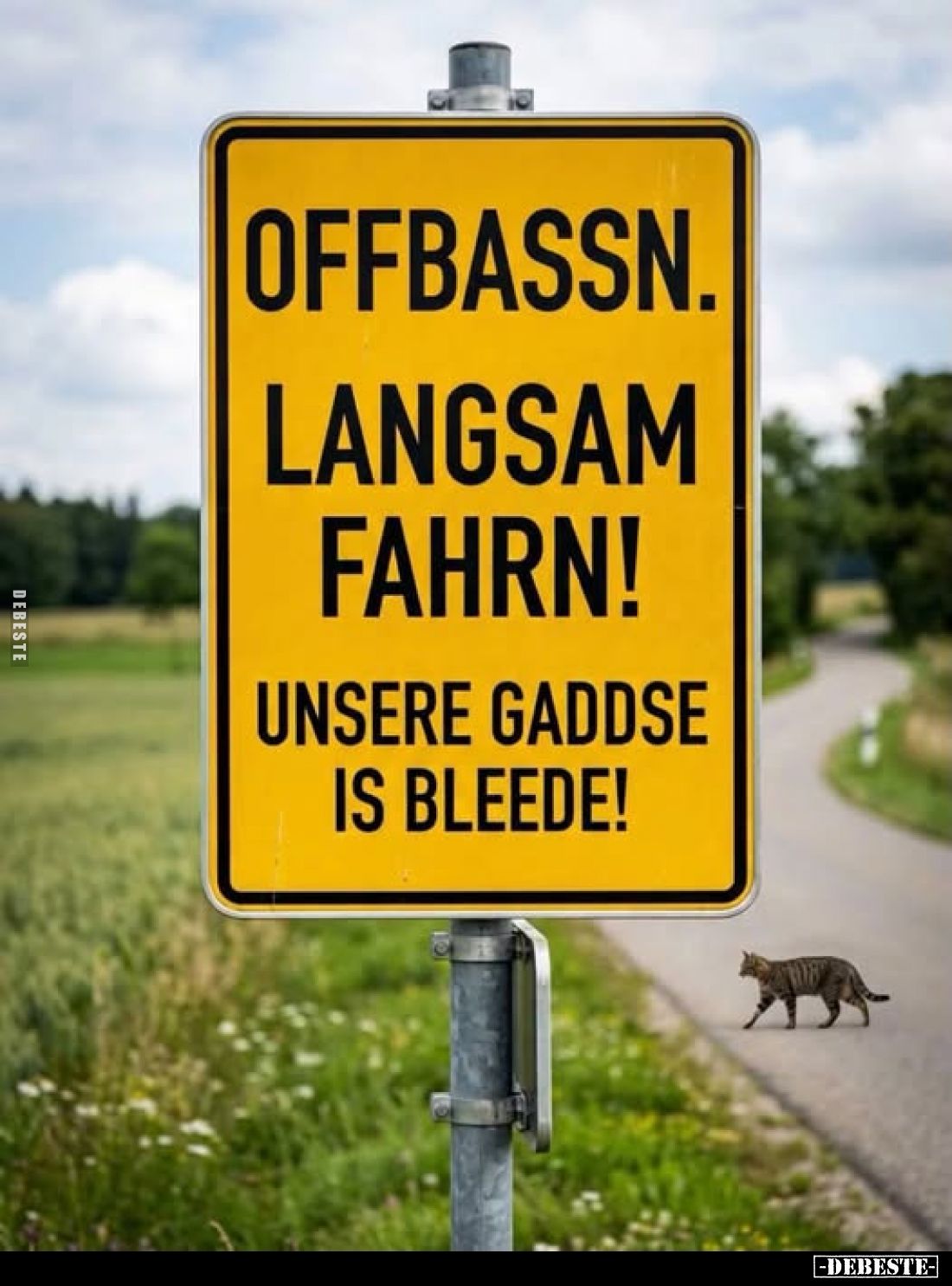 Offbassn. Langsam fahrn! Unsere Gaddse is bleede!.. - Lustige Bilder | DEBESTE.de