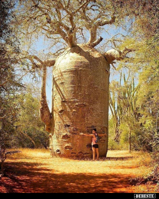  - Lustige Bilder | DEBESTE.de