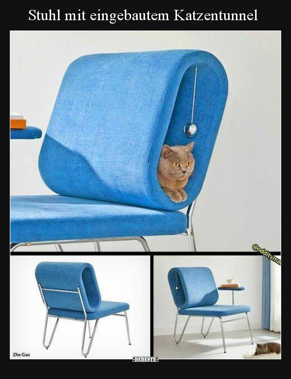 Stuhl mit eingebautem Katzentunnel.. - Lustige Bilder | DEBESTE.de
