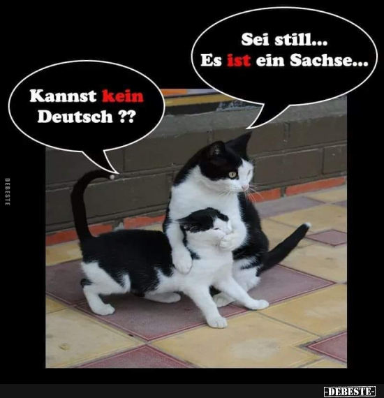 Kannst kein Deutsch?