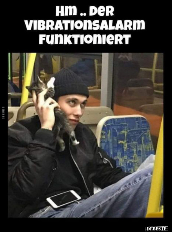 Hm.. der Vibrationsalarm funktioniert.. - Lustige Bilder | DEBESTE.de