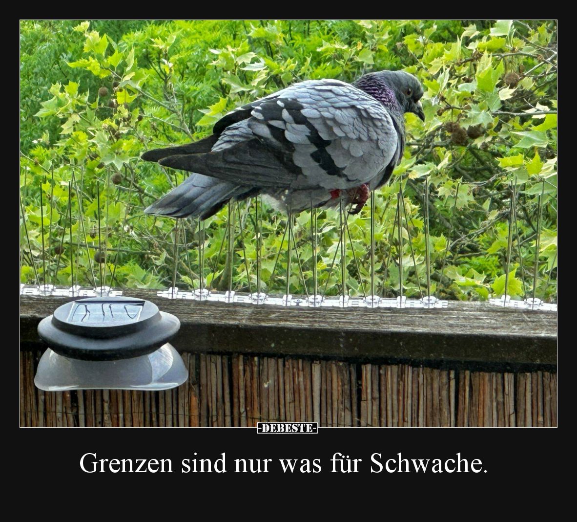 Grenzen sind nur was für Schwache.