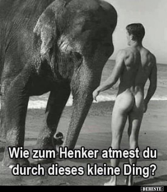 Wie zum Henker atmest du durch dieses kleine Ding?