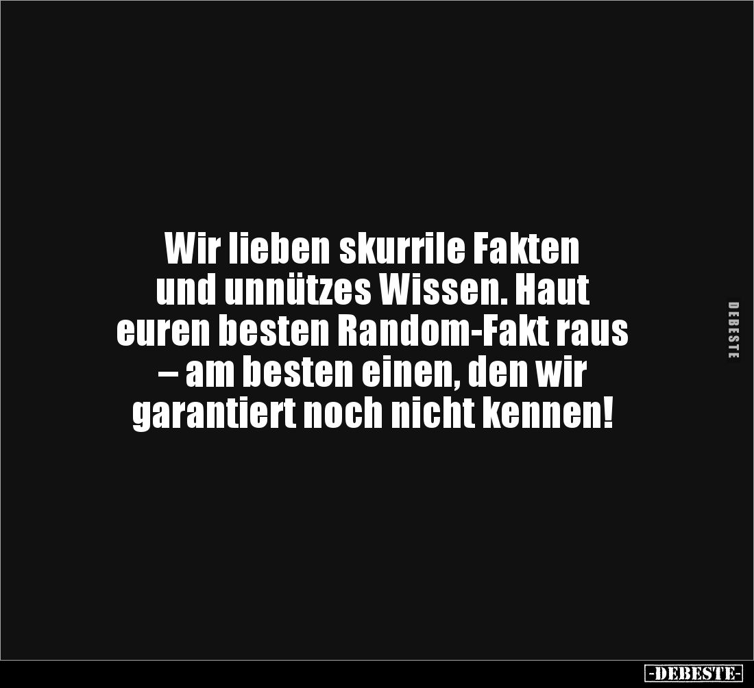Wir lieben skurrile Fakten 
und unnützes Wissen. Haut 
euren besten Random-Fakt raus 
– am besten einen, den wir 
garanti...