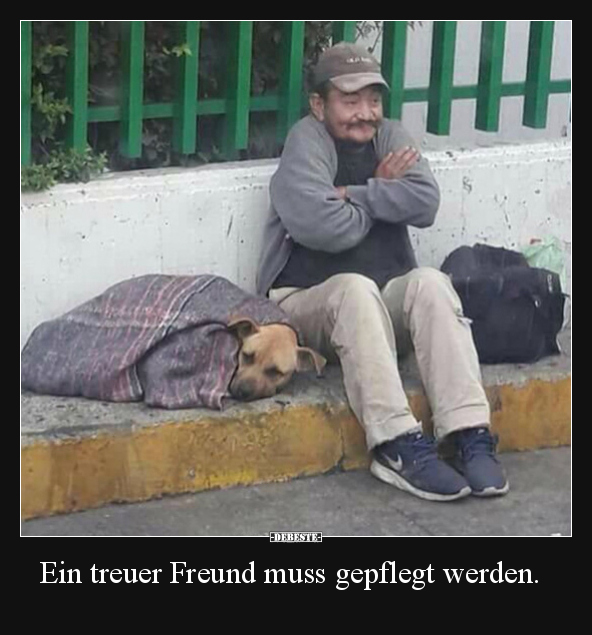 Hunde, Wahre Freunde, Beste Freunde