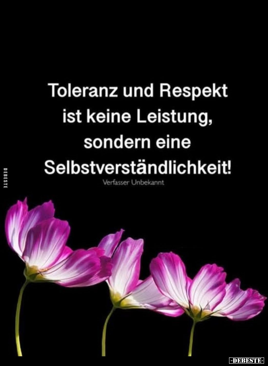 Toleranz und Respekt ist keine Leistung, sondern eine
Selbstverständlichkeit!
Verfasser Unbekannt