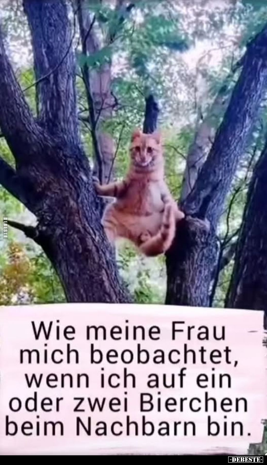 Wie meine Frau mich beobachtet, wenn ich auf ein oder zwei Bierchen beim Nachbarn bin.