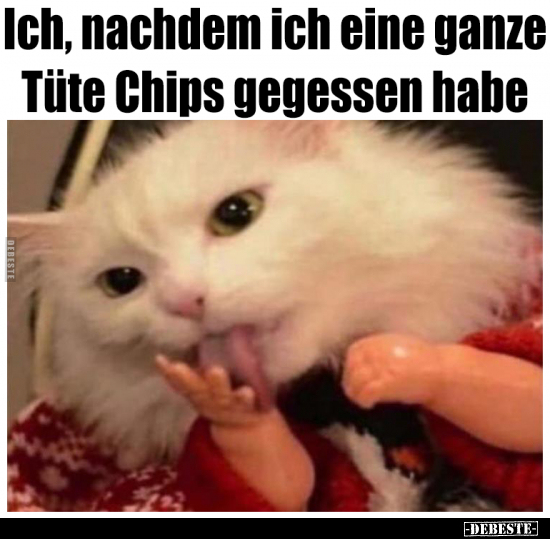Ich, nachdem ich eine ganze Tüte Chips gegessen habe..