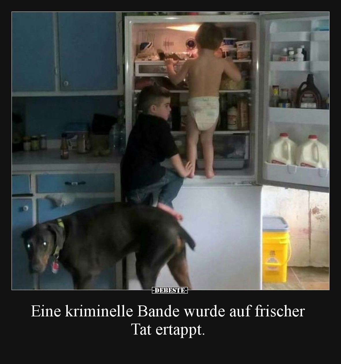 Eine kriminelle Bande wurde auf frischer Tat ertappt.